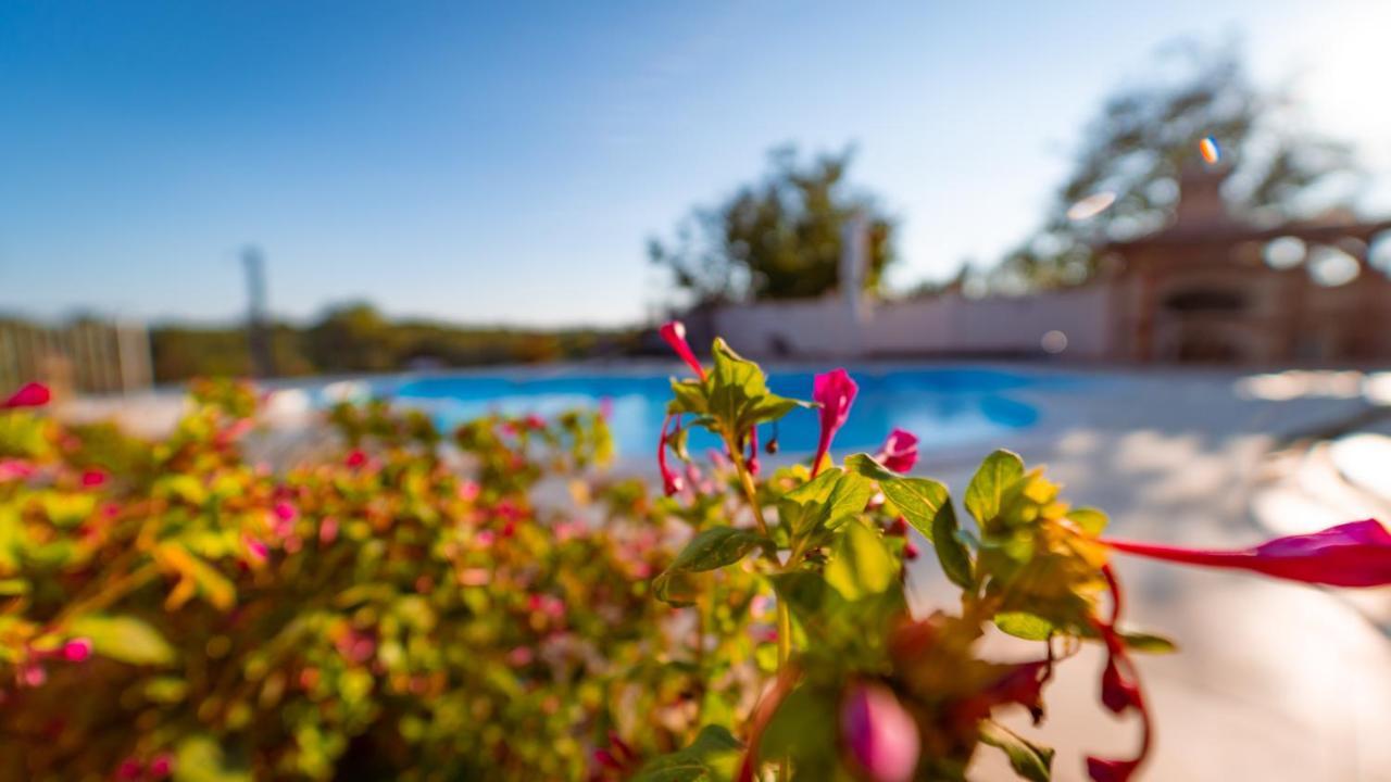 Villa Arton Heated Swimming-Pool Žminj Exteriör bild